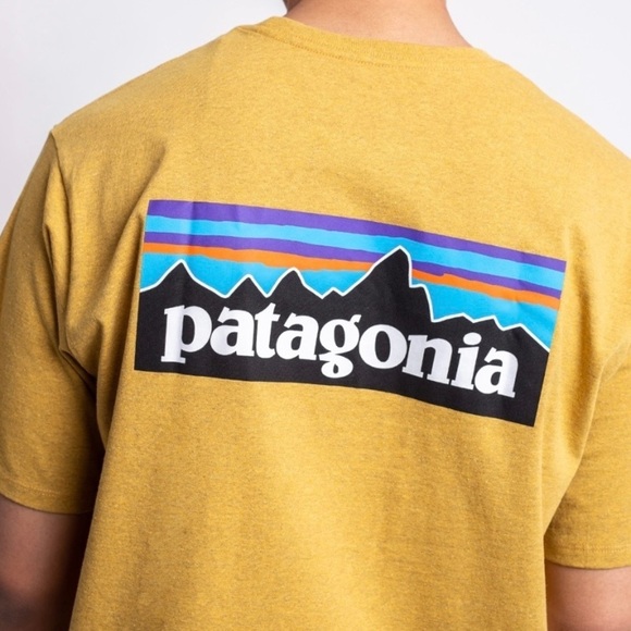 Patagonia P-6 Logo Responsibili-Tee, Glyph Gold - Picture 1 of 5